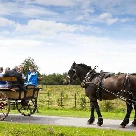 Сasa de vacaciones Ait Shona Luxury Killarney
